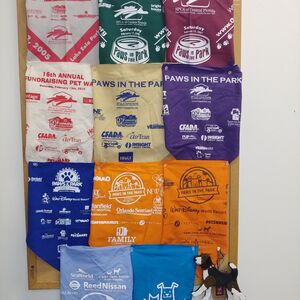 Fundraising Page: barbara muzeni